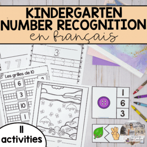 French Kindergarten Number Recognition and Representation Math Bundle 1-20