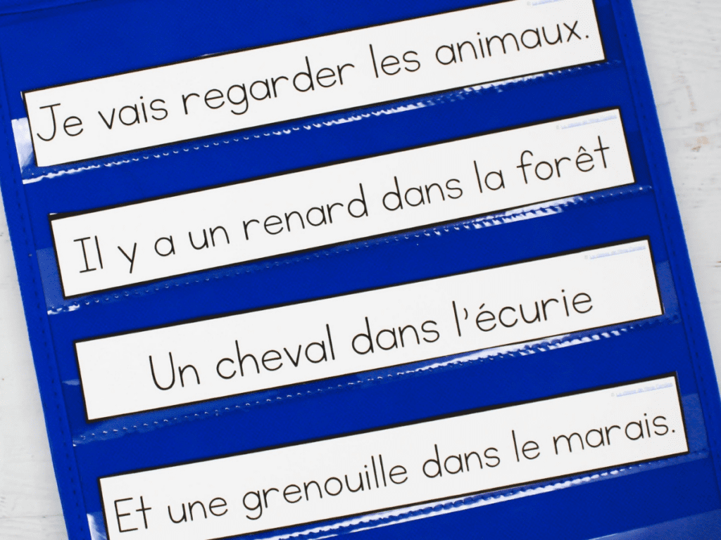 For shared reading, I use French Phonics stories. These are great to read together and learn the target french sound you're wanting to teach. French shared reading is so important to helping your students learn to read in French
