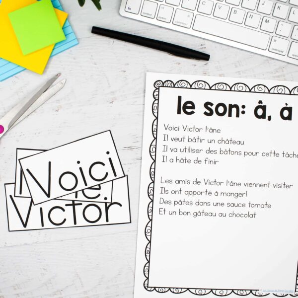french-shared-reading-pocket-chart-phonics-stories-learn-to-read-in-french-la-phonetique-les-voyelles-french-vowel-sounds