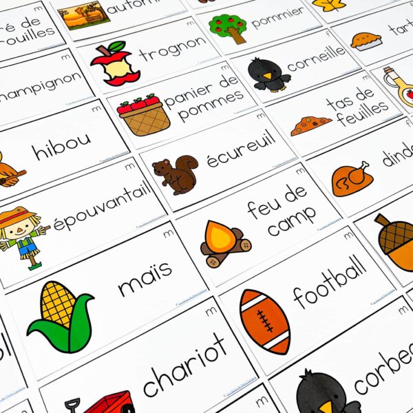 french-vocabulary-cards-word-wall-fall-automne