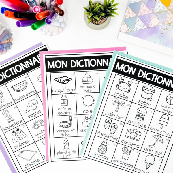 french-vocabulary-cards-summer-été-word-wall