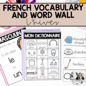 french-vocabulary-cards-winter-hiver-word-wall