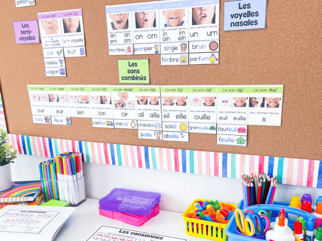Here is an example of a French sound wall set up in my classroom. It is French Science of Reading aligned and perfect for any classroom!