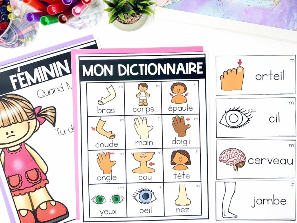 Free French vocabulary pack for learning body parts, including organs. This set includes 54 body part word wall cards and personal dictionary pages.