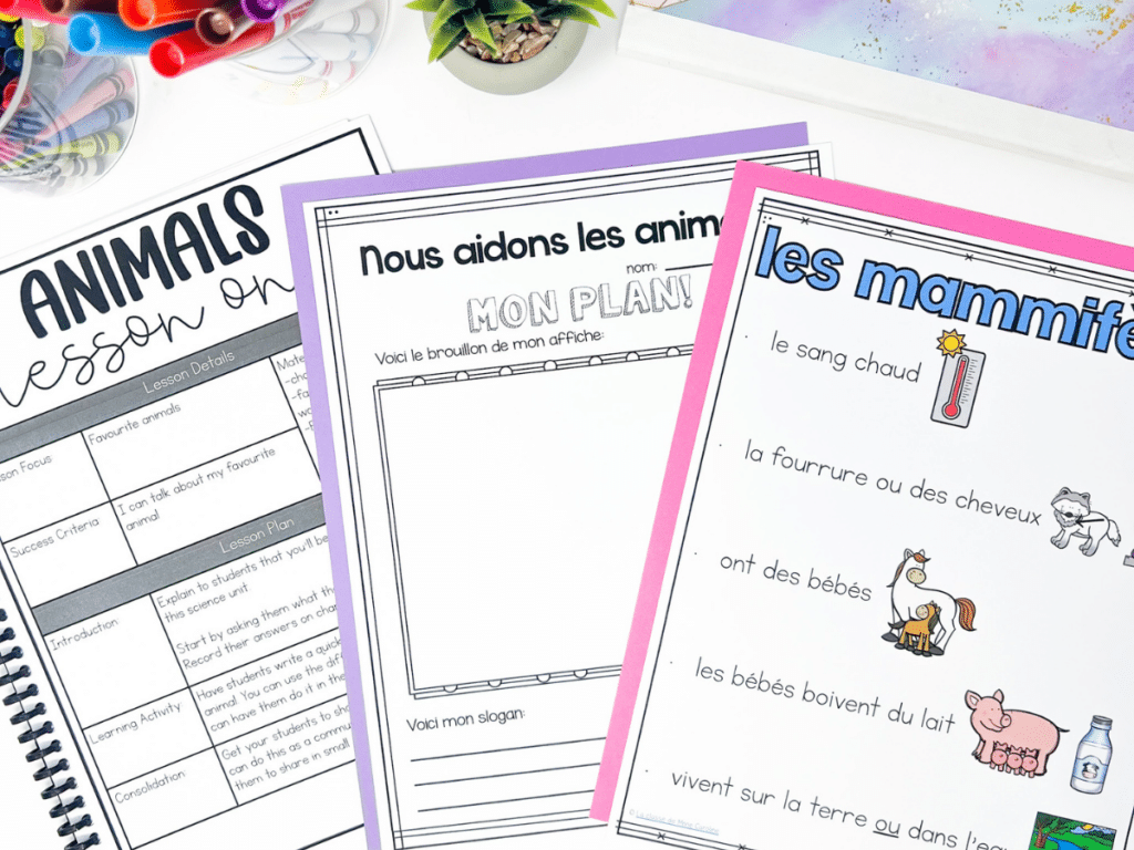 If you're looking for more information on how to teach your French Growth and Changes in Animals unit, check out this full unit I created. It includes science lesson plans, worksheets, coding activities and more!