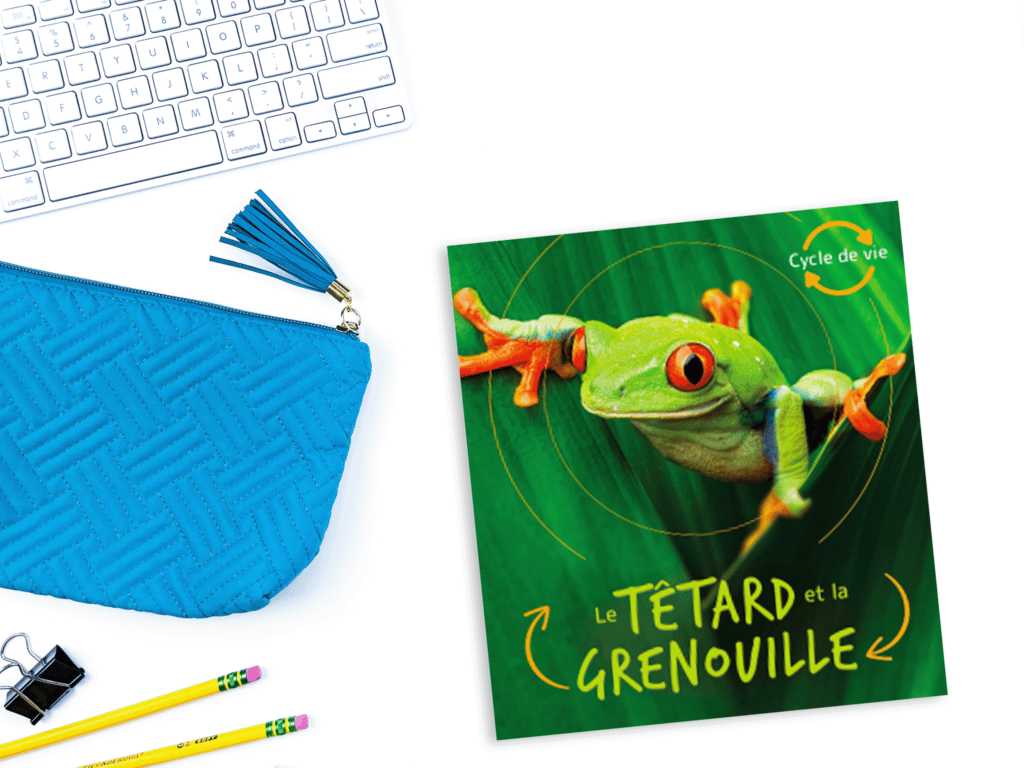 This non fiction book is perfect for talking about animal life cycles in French! It talks about le cycle de vie d'une grenouille. This read aloud is perfect for your animals science unit!