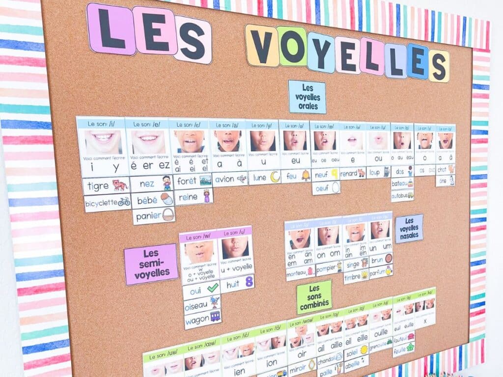 Refer back to your French sound wall regularly. Show students how different simple sounds and compound sounds are spelt in French. Help them make the relationship between phonemes and graphemes.