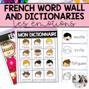 French emotions vocabulary cards for your word wall and personal dictionary