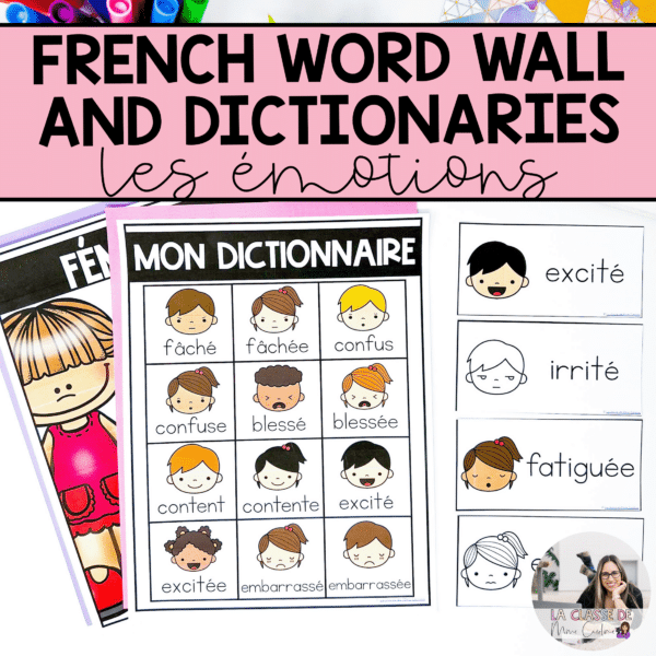 French emotions vocabulary cards for your word wall and personal dictionary