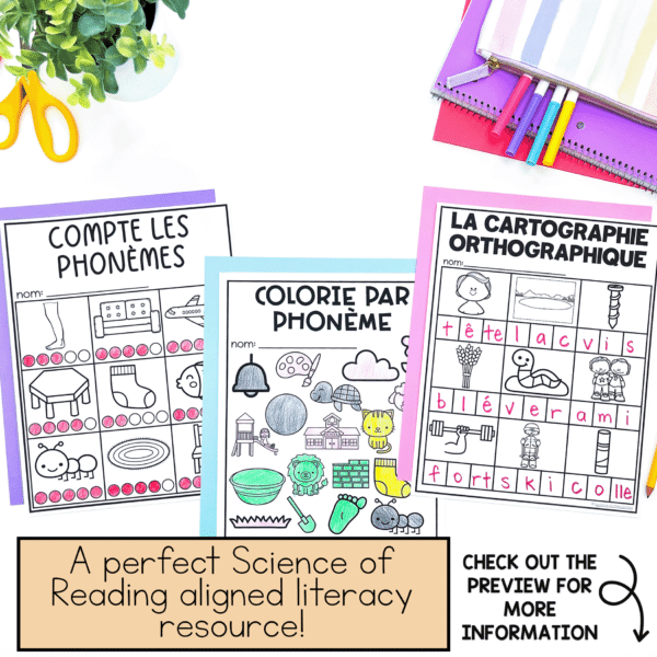 French phonological awareness activities to work on phoneme identification