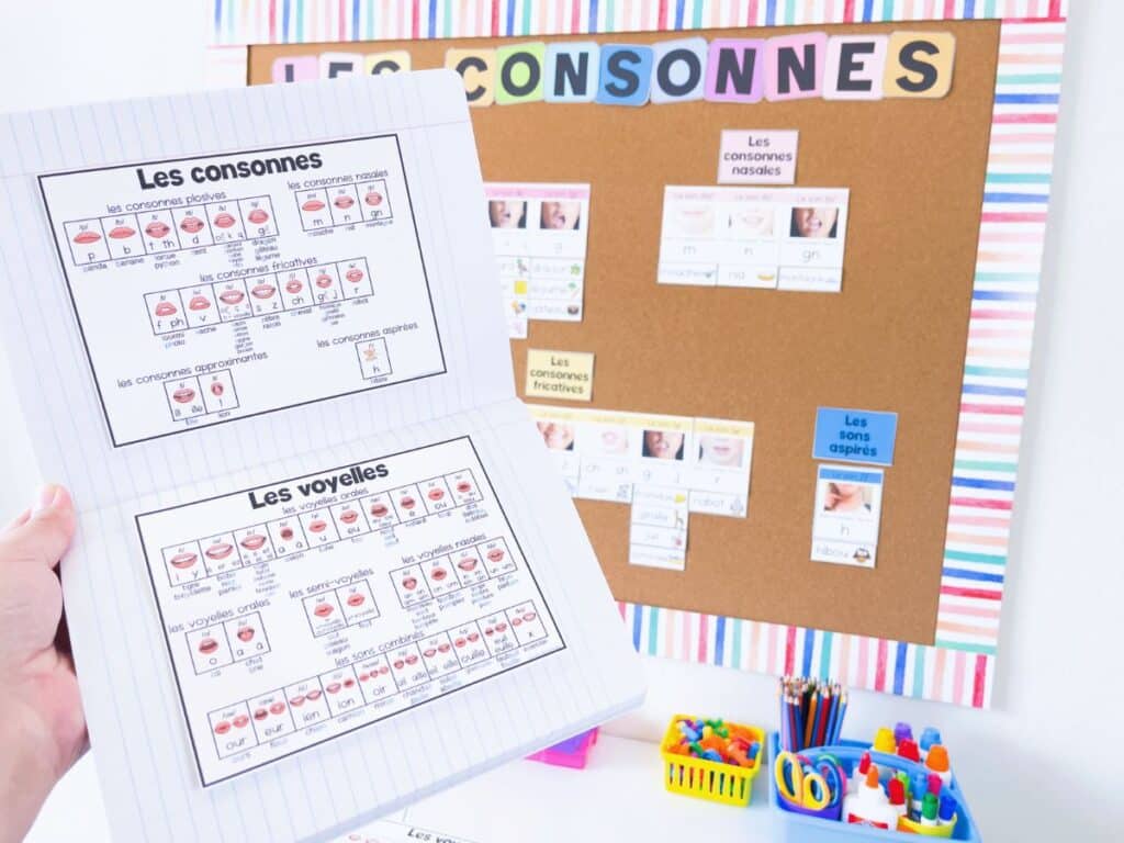 Notebook with French phonemes shown in a sound wall format with mouth articulation pictures.