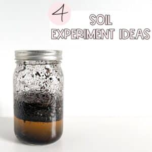 4 soil science experiment ideas to use with your soils in the environment science unit
