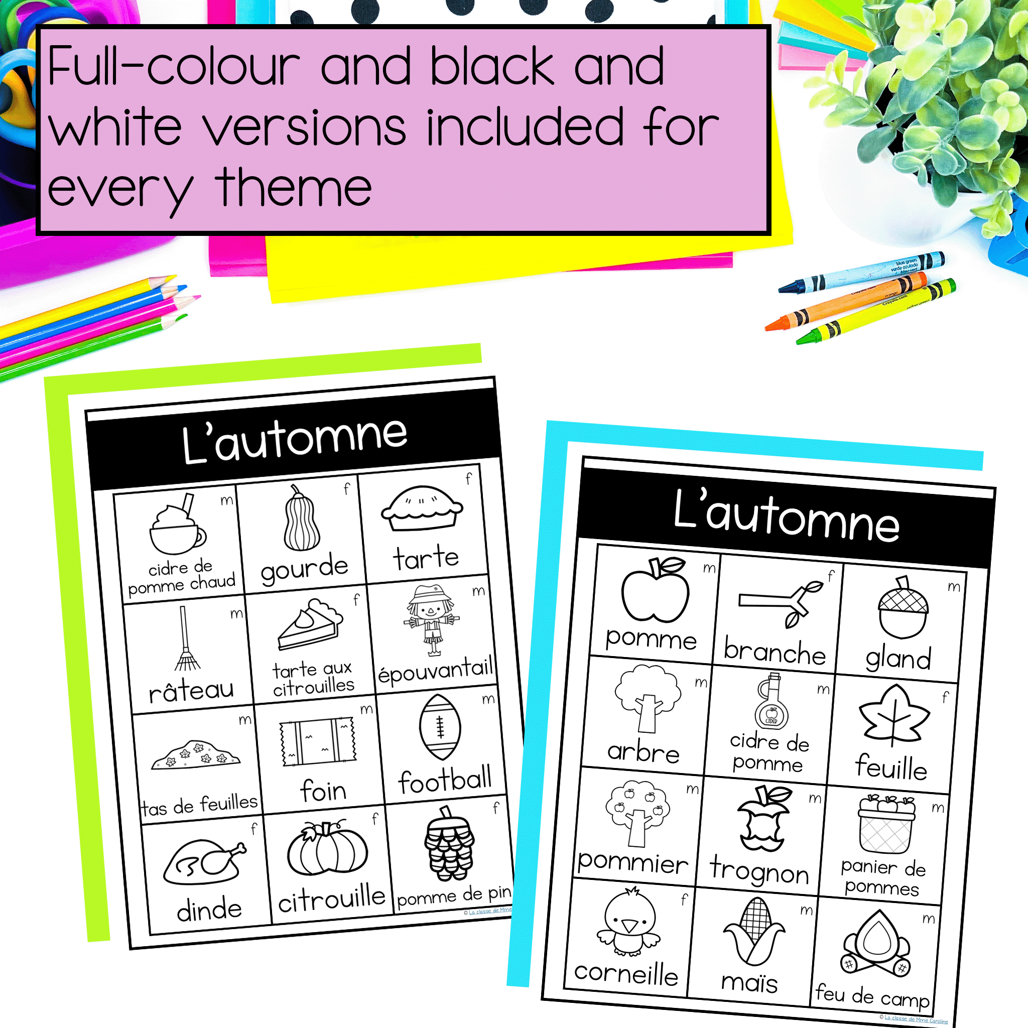 french dictionary black and white and colour